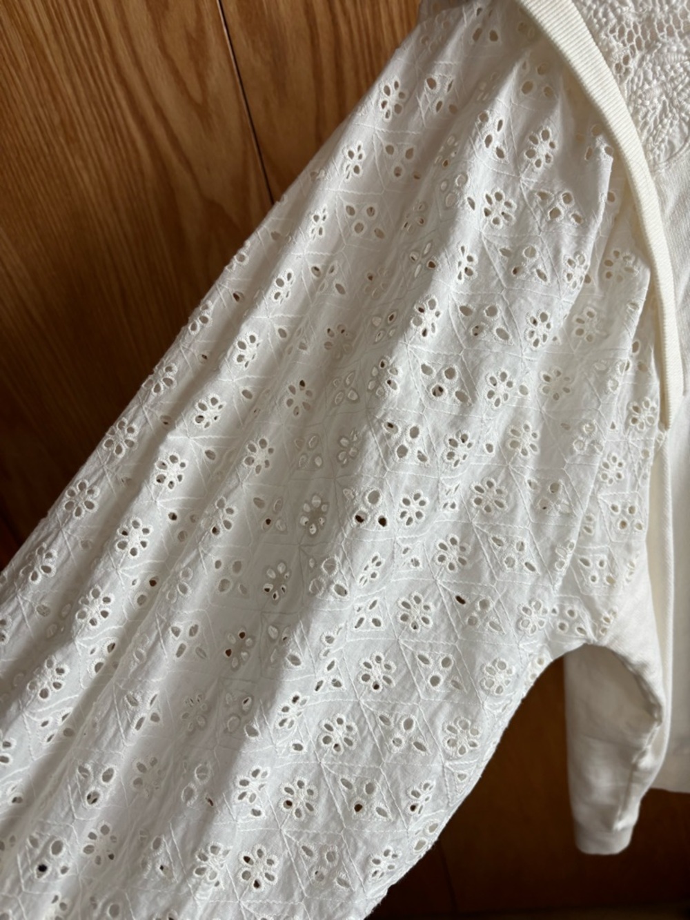 Pilcro Anthropologie Eyelet Lace Long-Sleeve Top - Picture 5 of 7
